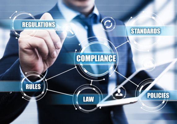 website designer in Delhi