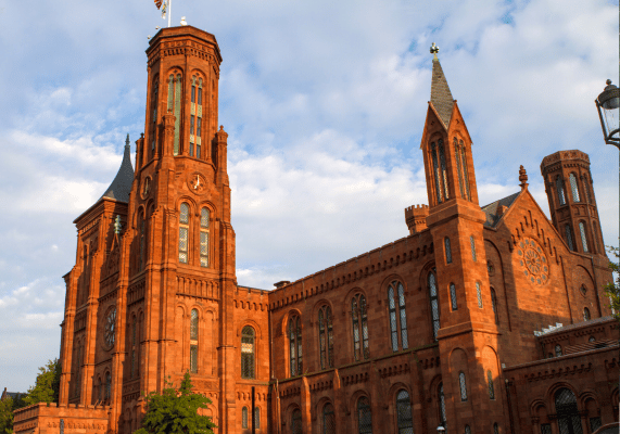 website designer in Delhi